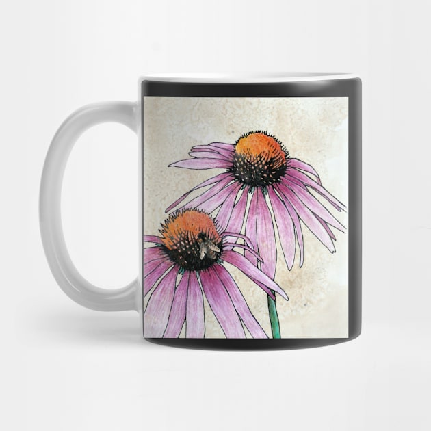 Echinacea 2 by BeeG